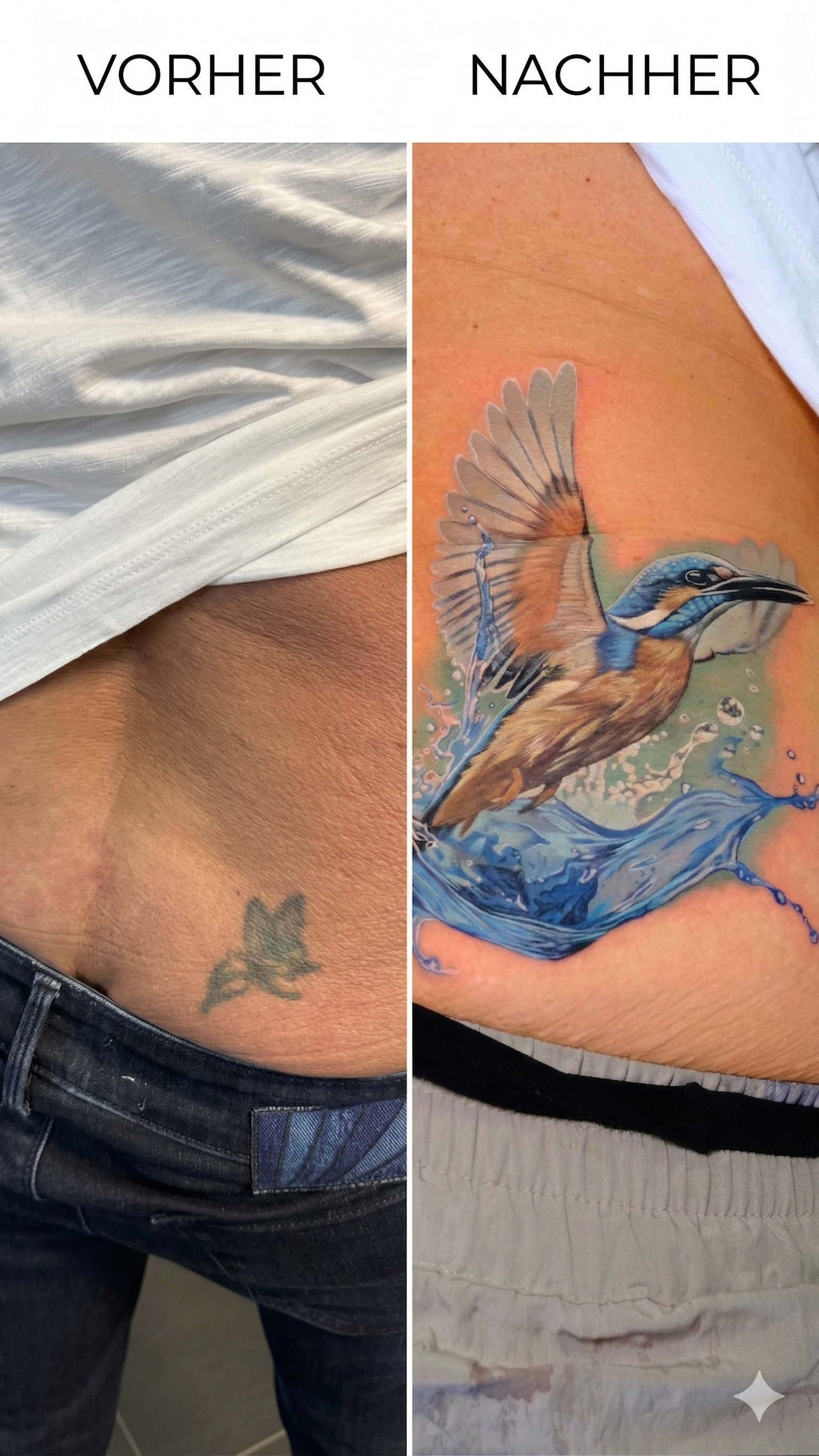 ass bird