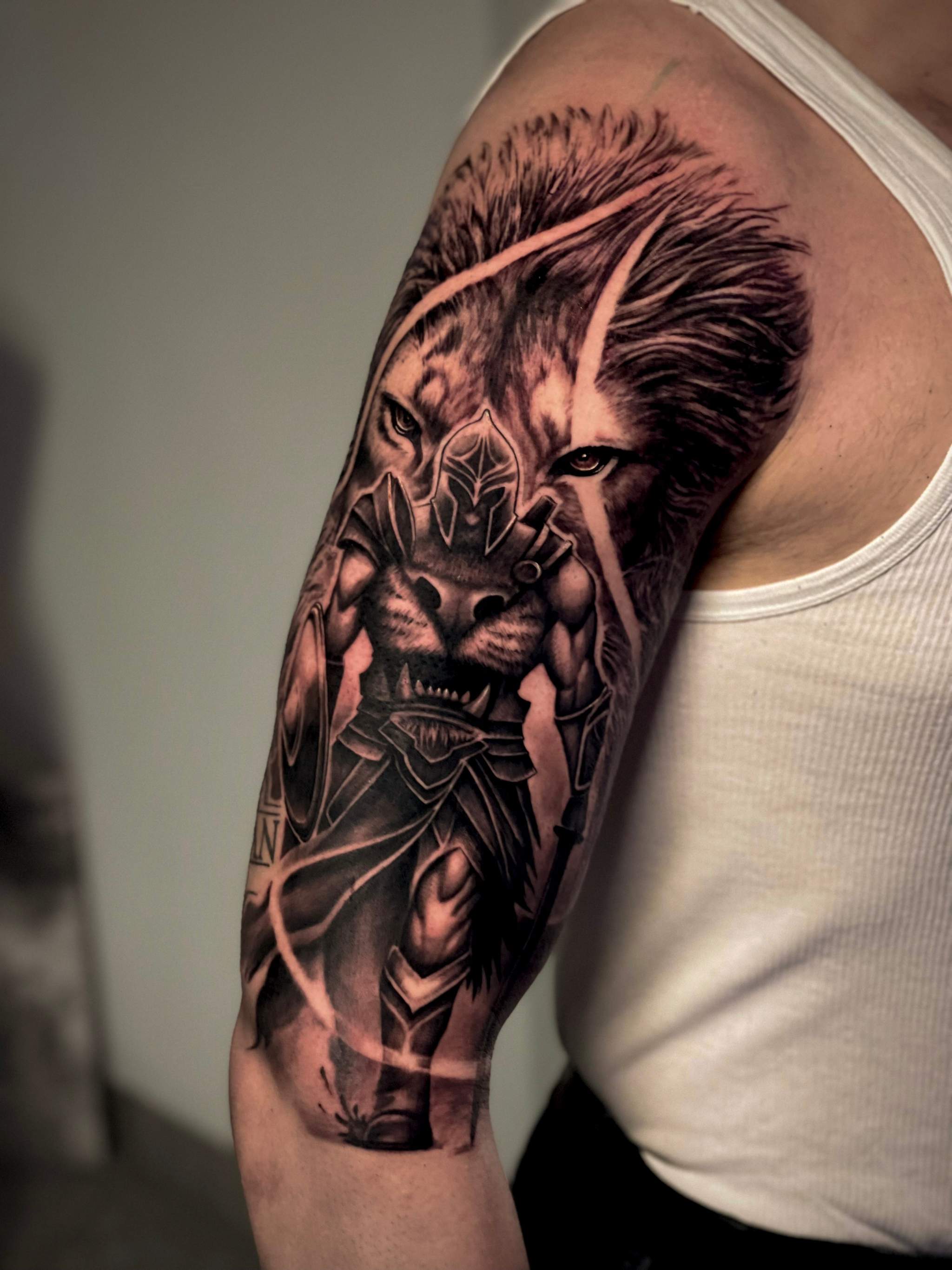 Lion with warrior