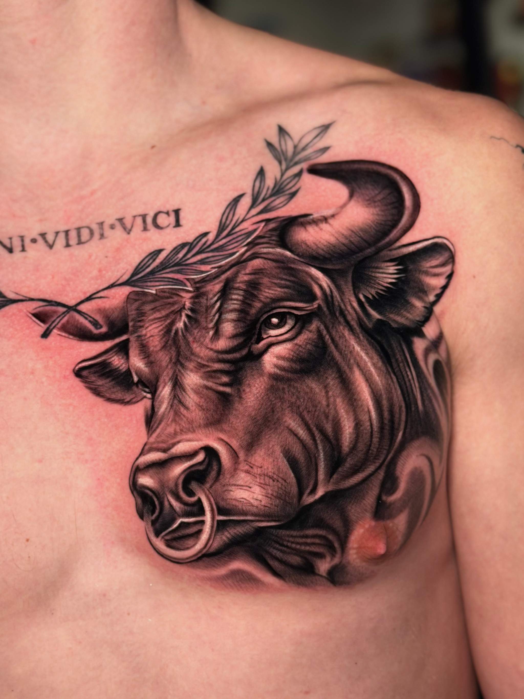 Buffalo