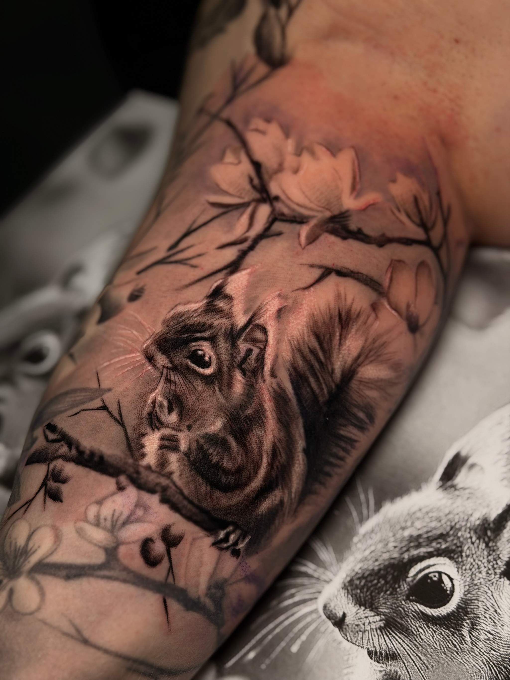 Squirel
