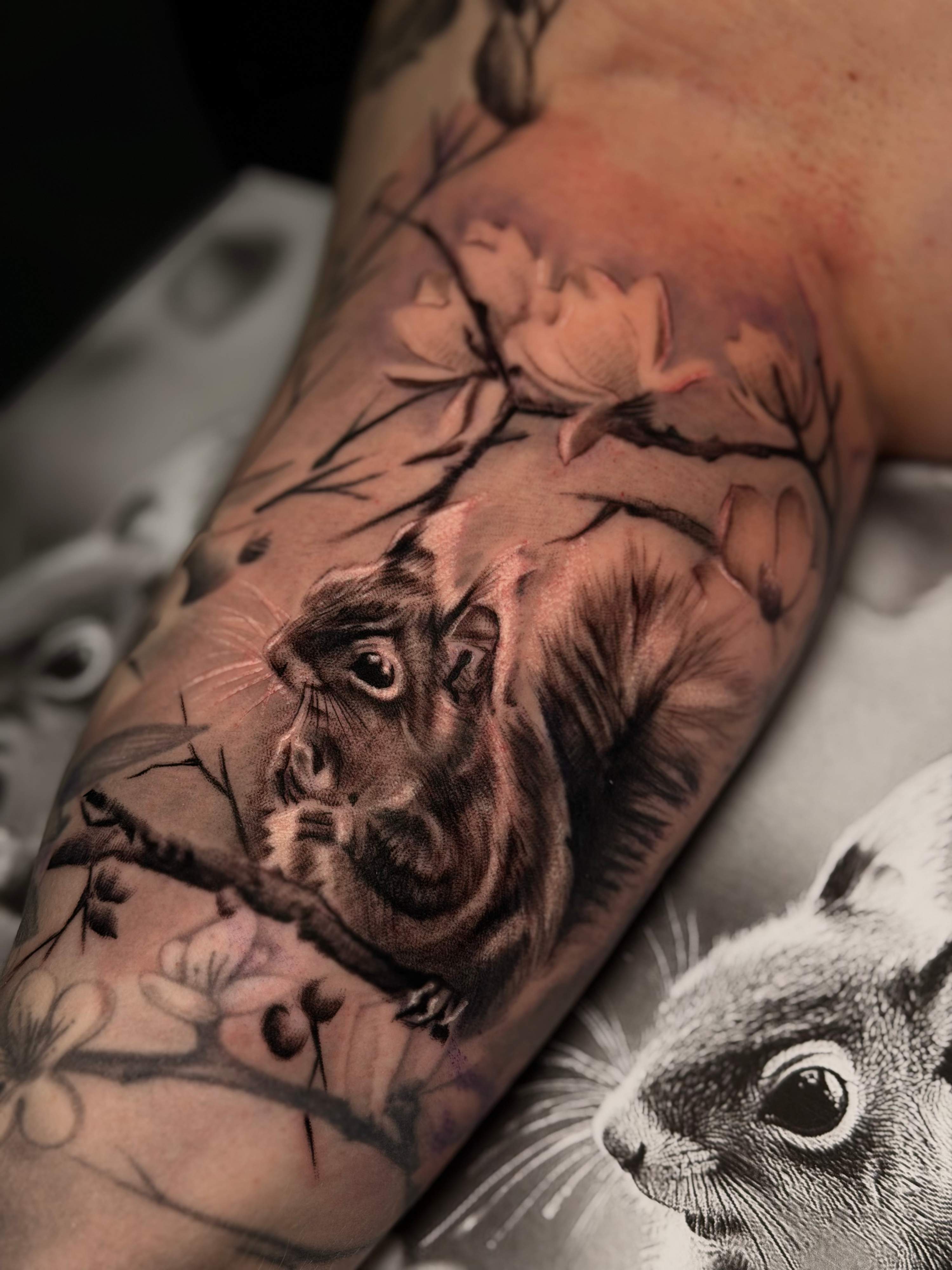 Squirel