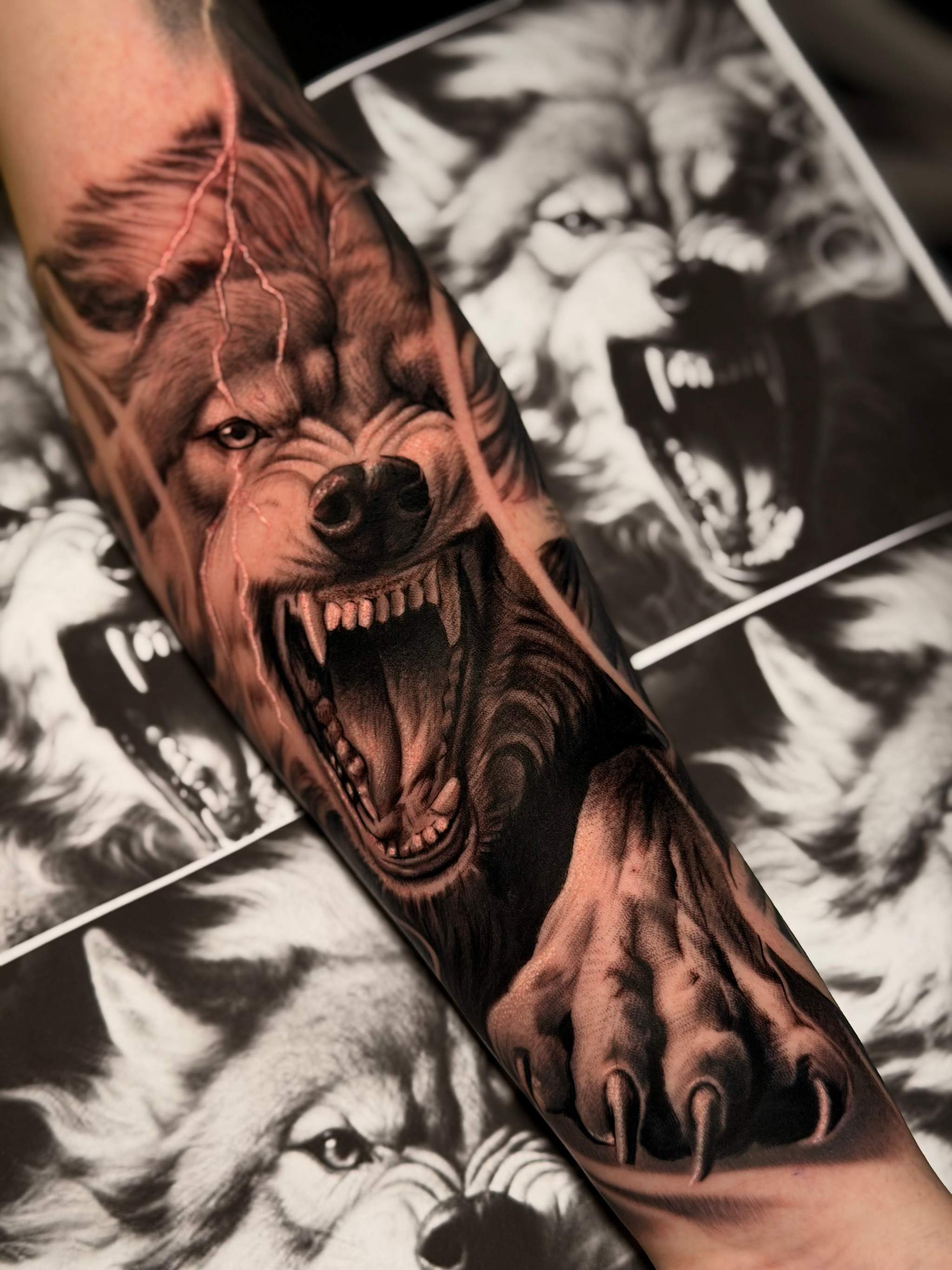 Wolf