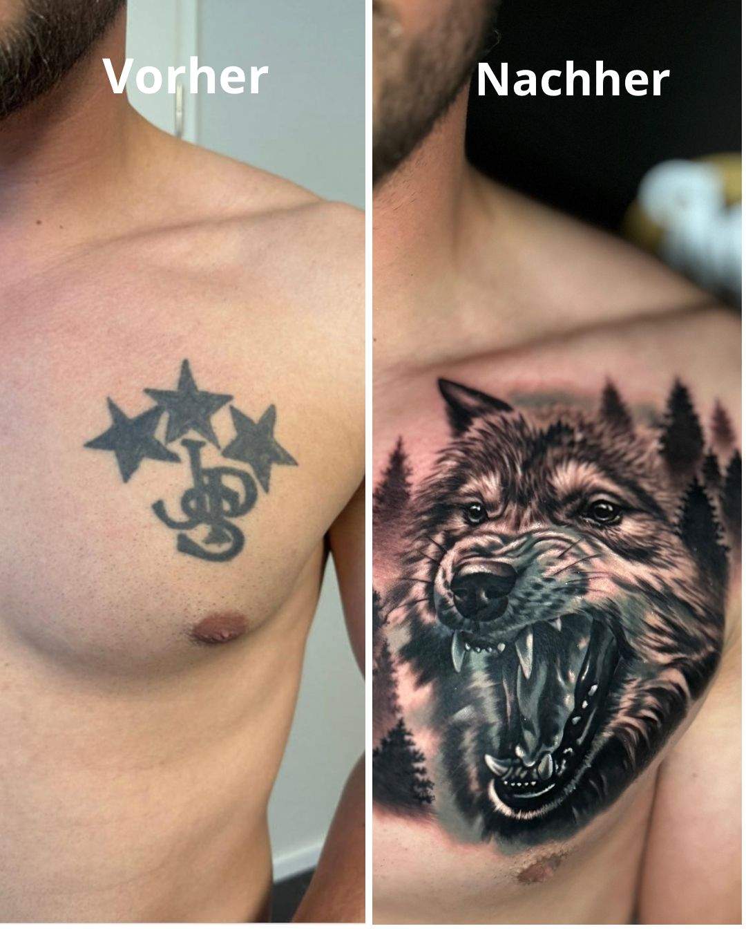 wolf ready